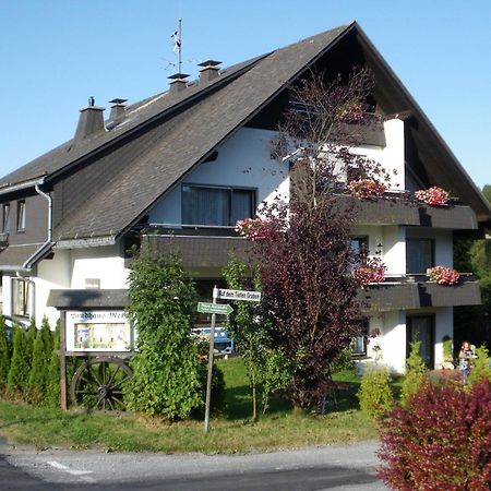 Ferienwohnungen Landhaus Meran Inkl Meinecardplus Willingen  Eksteriør billede