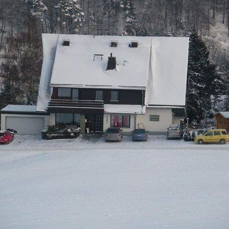 Ferienwohnungen Landhaus Meran Inkl Meinecardplus Willingen  Eksteriør billede