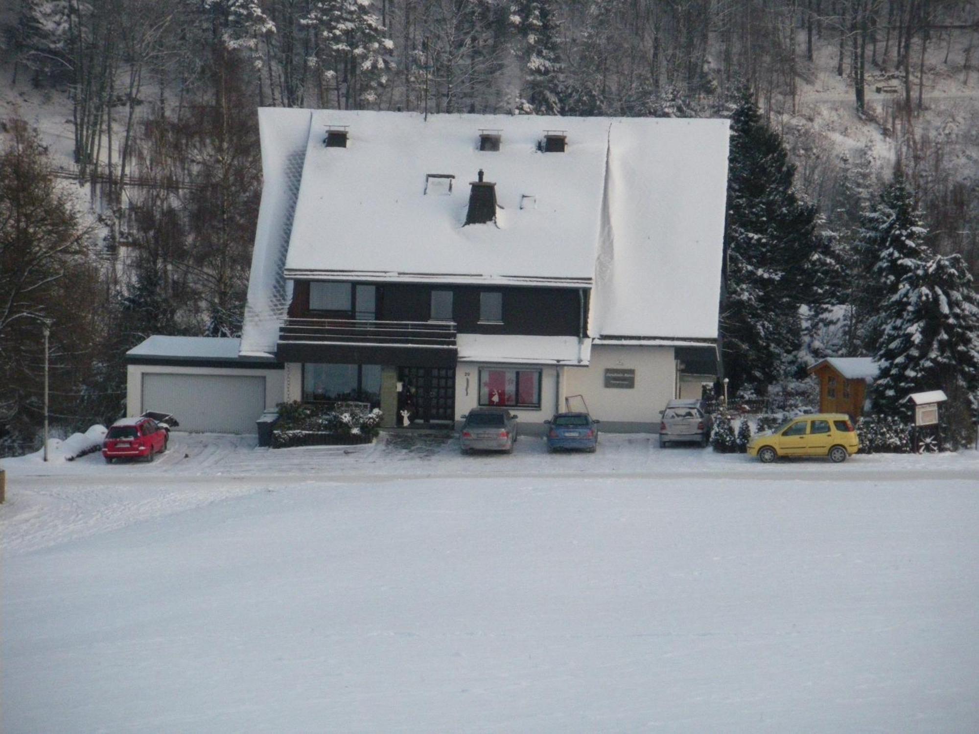 Ferienwohnungen Landhaus Meran Inkl Meinecardplus Willingen  Eksteriør billede