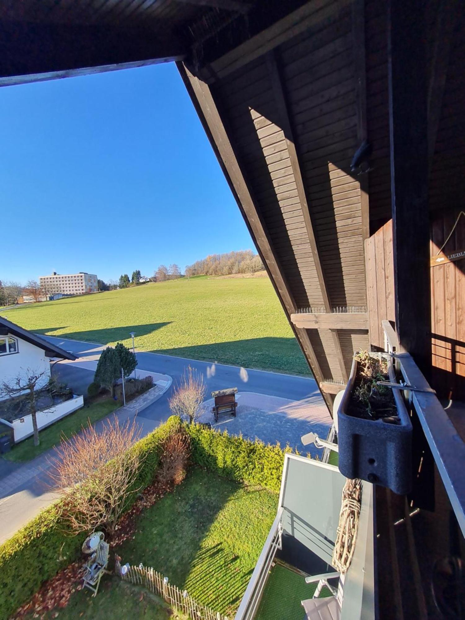 Ferienwohnungen Landhaus Meran Inkl Meinecardplus Willingen  Eksteriør billede