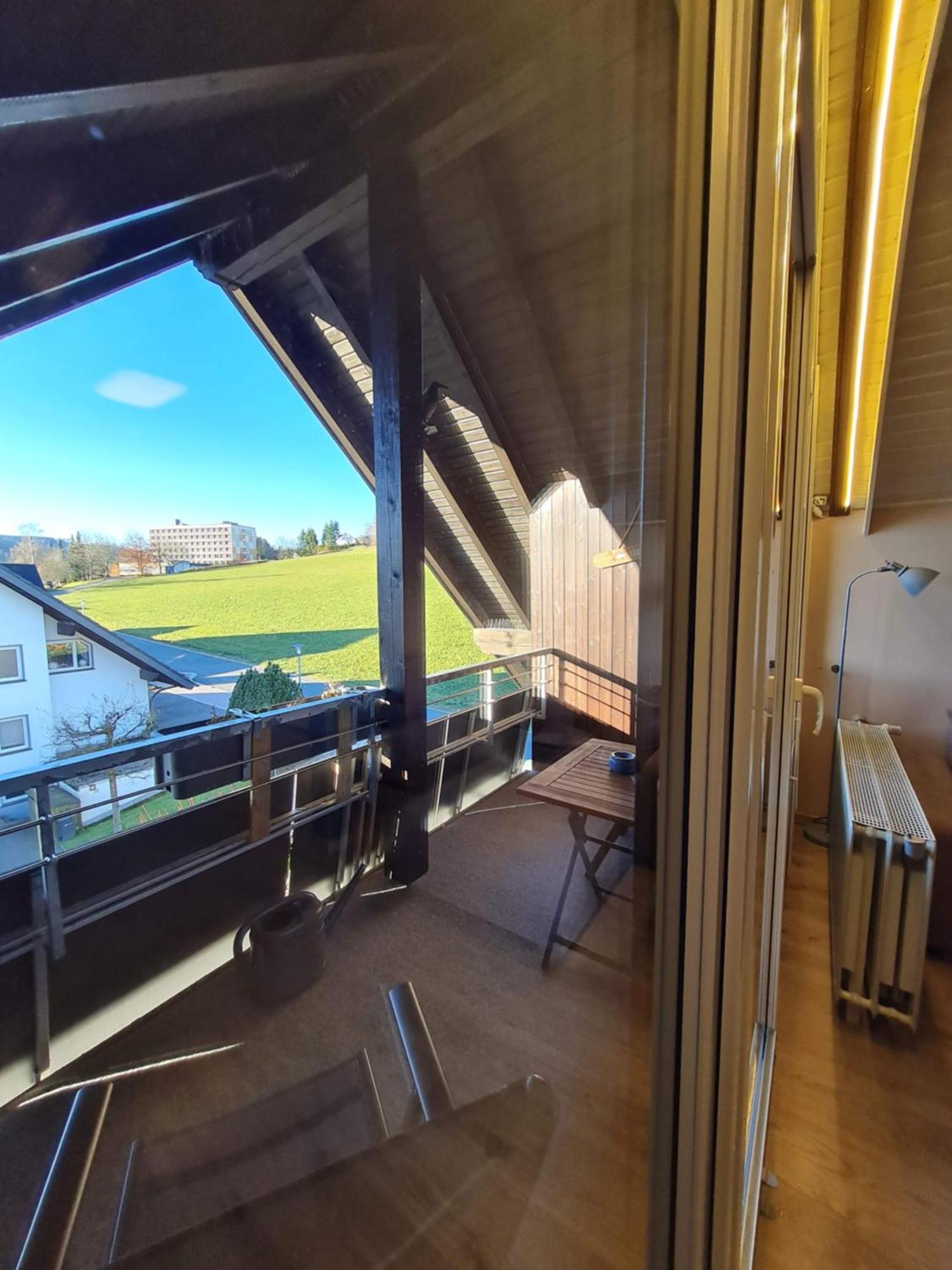 Ferienwohnungen Landhaus Meran Inkl Meinecardplus Willingen  Eksteriør billede