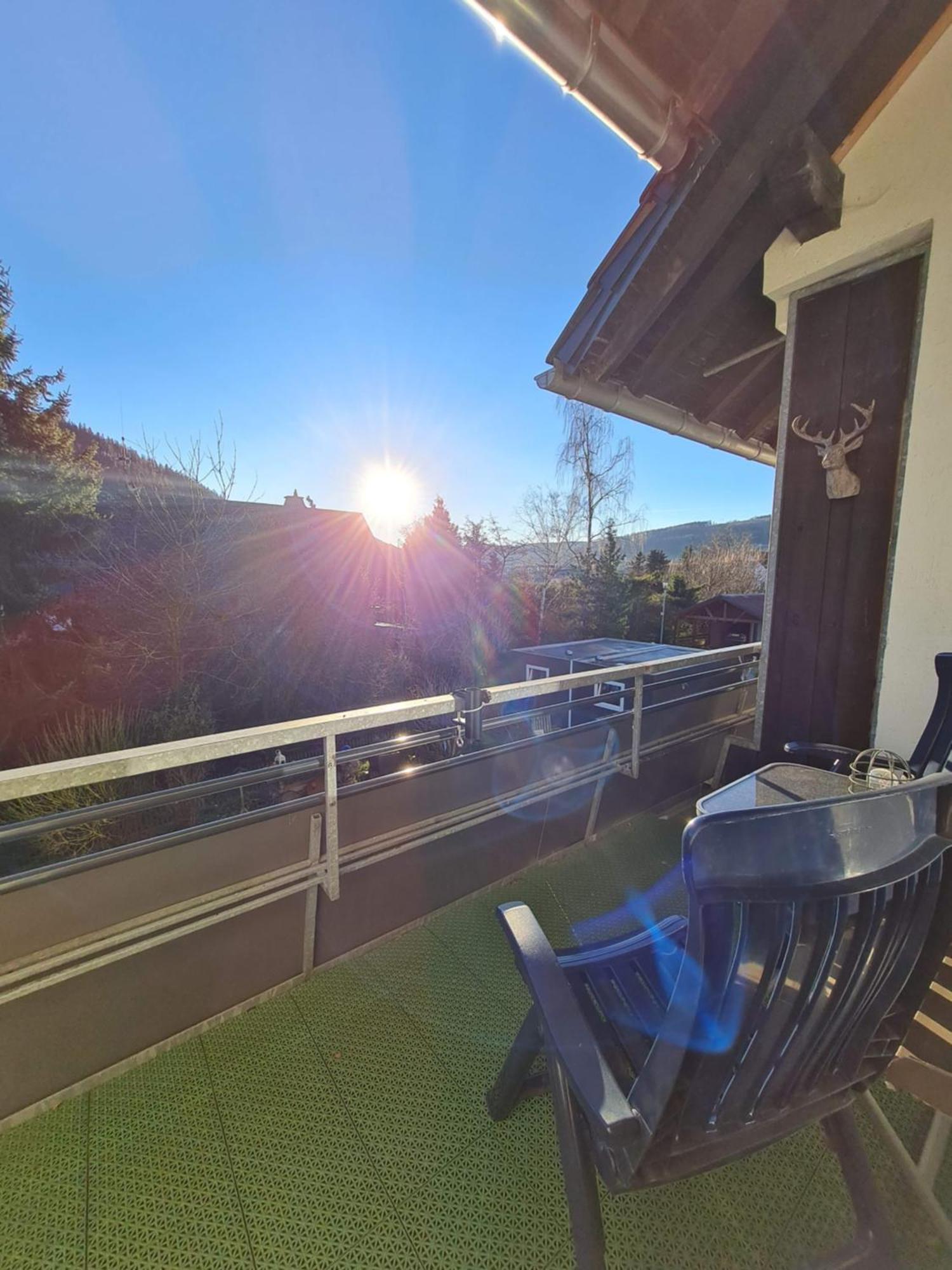 Ferienwohnungen Landhaus Meran Inkl Meinecardplus Willingen  Eksteriør billede