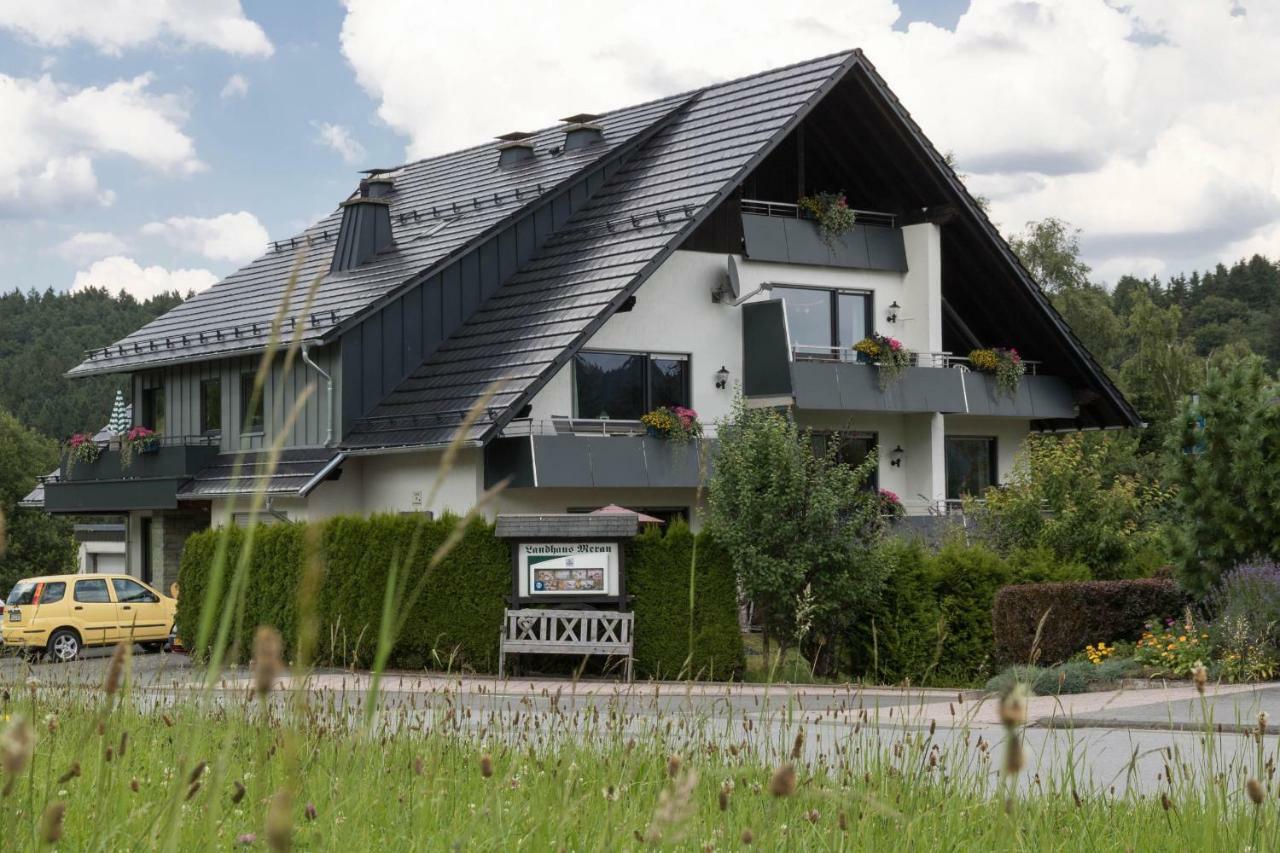 Ferienwohnungen Landhaus Meran Inkl Meinecardplus Willingen  Eksteriør billede
